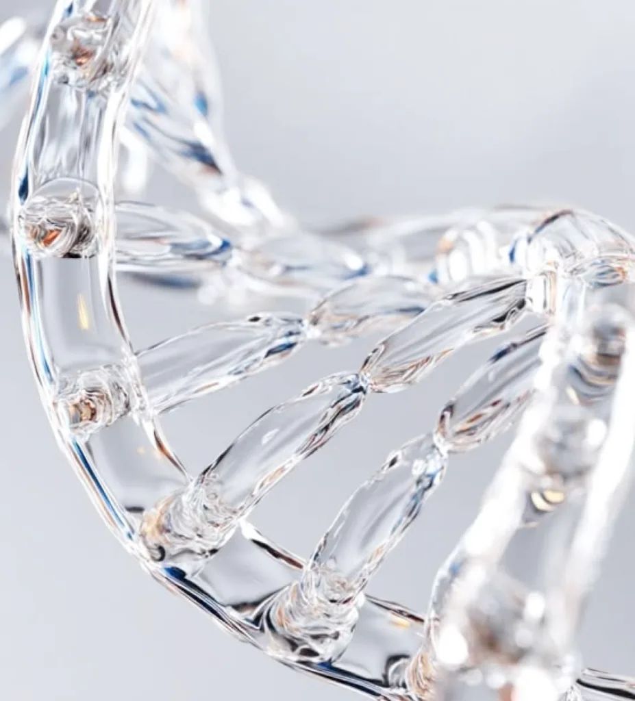Stem Cell Therapy